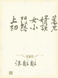 上门女婿叶辰萧初然小说免费阅读无弹窗