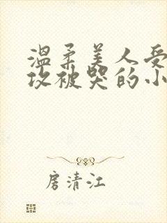 温柔美人受高冷攻被哭的小说