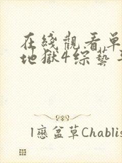 在线观看单身即地狱4综艺平台推荐