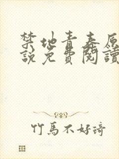 禁地青春原著小说免费阅读