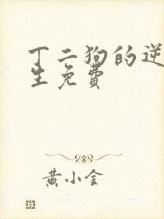 丁二狗的逆袭人生免费封面