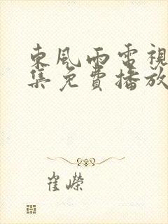东风雨电视剧全集免费播放在线观看