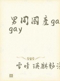 男同国产gaygay