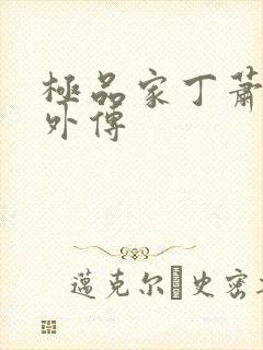 极品家丁萧夫人外传