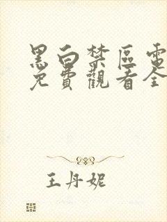 黑白禁区电视剧免费观看全集高清封面