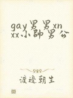 gay男男xnxx小帅男公司