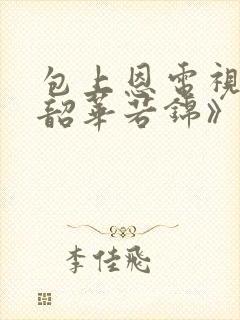 包上恩电视剧《韶华若锦》