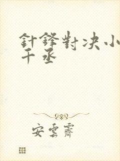 针锋对决小说水千丞