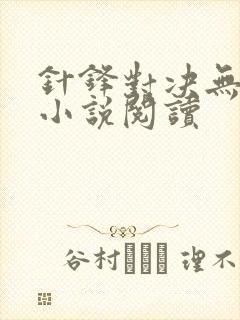 针锋对决无删减小说阅读封面