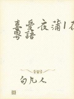 喜爱夜蒲1在线粤语