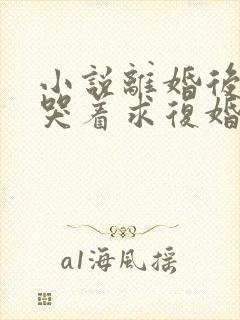 小说离婚后前夫哭着求复婚全文阅读