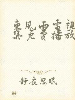 东风雨电视剧全集免费播放在线观看