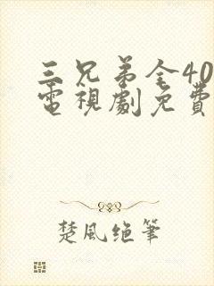 三兄弟全40集电视剧免费观看