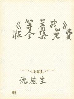 《等着我》完整版全集免费观看