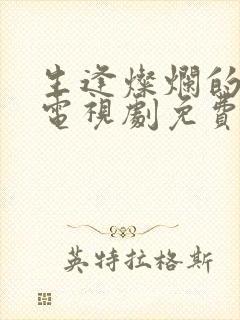 生逢灿烂的日子电视剧免费观看