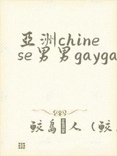 亚洲chinese男男gaygay网站