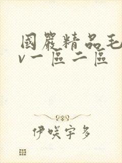 国严精品毛片av一区二区封面