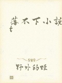 落不下小说txt封面