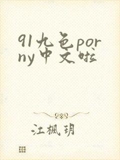 91九色porny中文啦