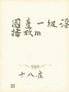 国产一级淫免费播放m