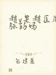 赵y是赵匡胤一脉的吗