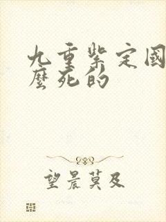 九重紫定国公怎么死的