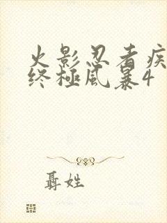 火影忍者疾风传终极风暴4