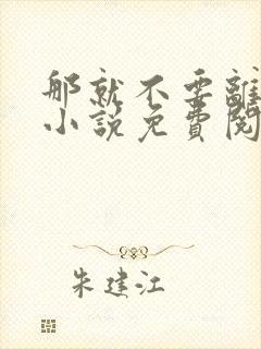 那就不要离开我小说免费阅读