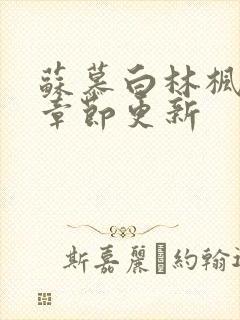 苏慕白林枫最新章节更新