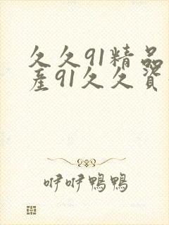 久久91精品国产91久久资源