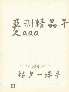 亚洲精品午夜久久aaa封面