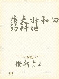 杨大壮和田桂花的耕地