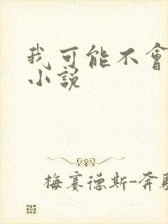 我可能不会爱你小说