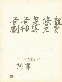 爸爸是条龙电视剧40集免费观看