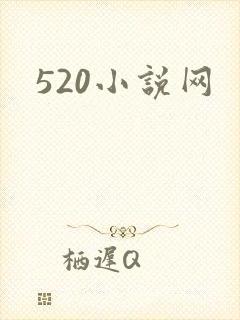 520小说网