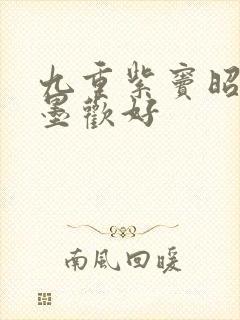 九重紫窦昭和宋墨欢好