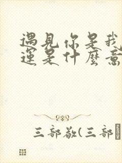 遇见你是我的幸运是什么意思