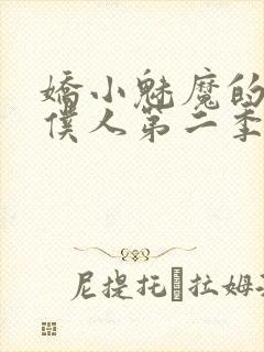 娇小魅魔的忠实仆人第二季在哪看