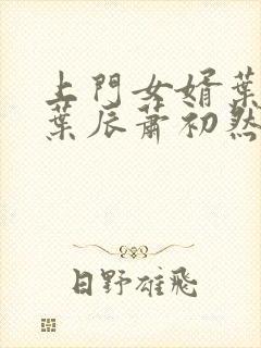 上门女婿叶辰 叶辰萧初然531