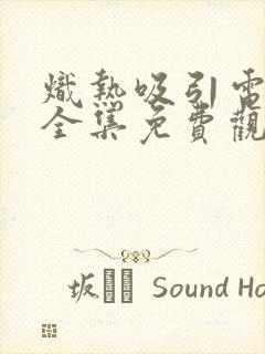 炽热吸引电视剧全集免费观看13集