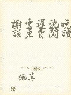 谢云迟沈晚黎小说免费阅读最新章节