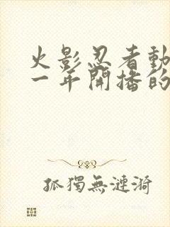 火影忍者动漫哪一年开播的