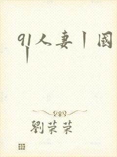 91人妻丨国产丨