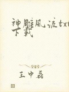 神雕风流txt下载