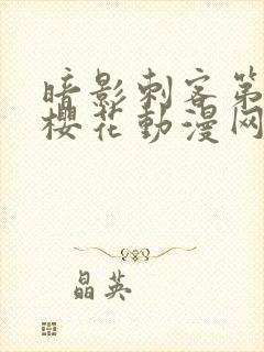 暗影刺客第四季樱花动漫网站