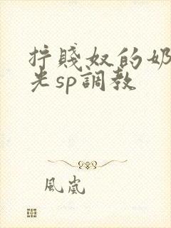 拧贱奴的奶头耳光sp调教封面