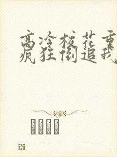 高冷校花重生了疯狂倒追我txt下载封面