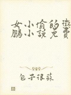 女小偷的惩罚王鹏小说免费阅读