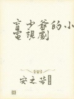 盲少爷的小女仆电视剧封面