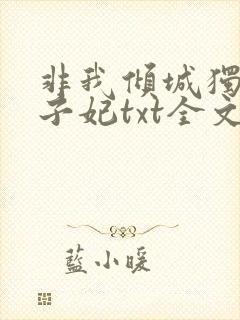 非我倾城独宠太子妃txt全文下载